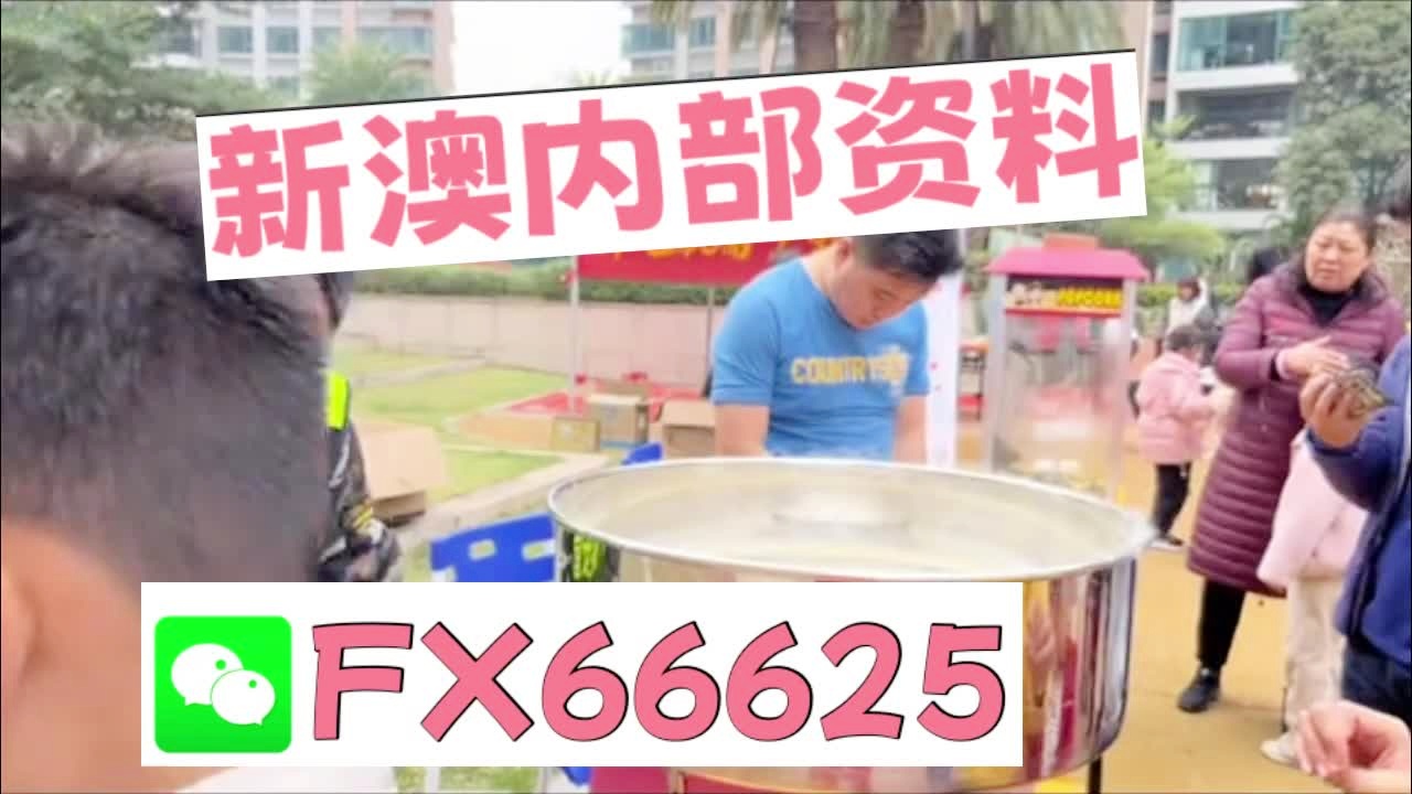 新澳天天彩免费资料大全最新版本