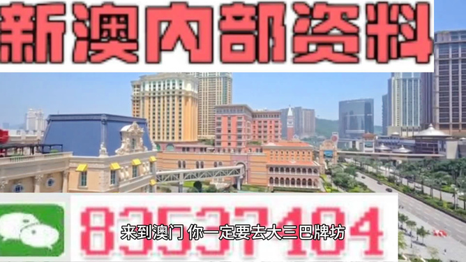 新澳门最精准正最精准龙门,确保成语解释落实的问题