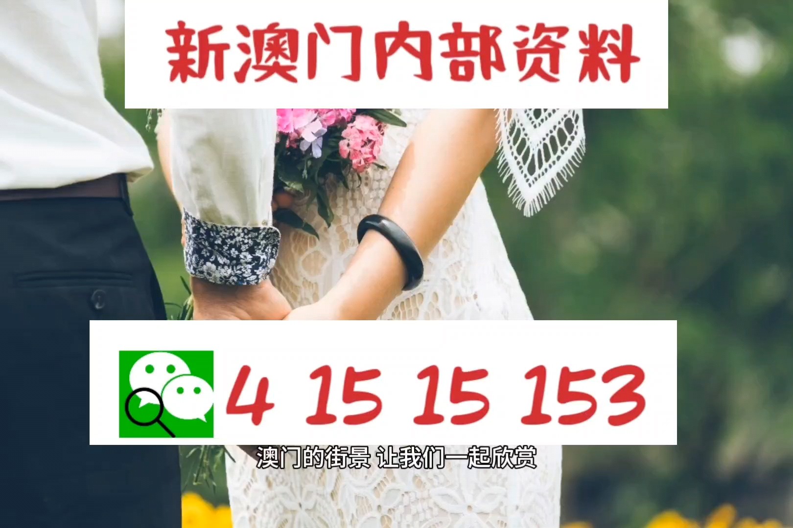 2025新澳正版资料最新更新